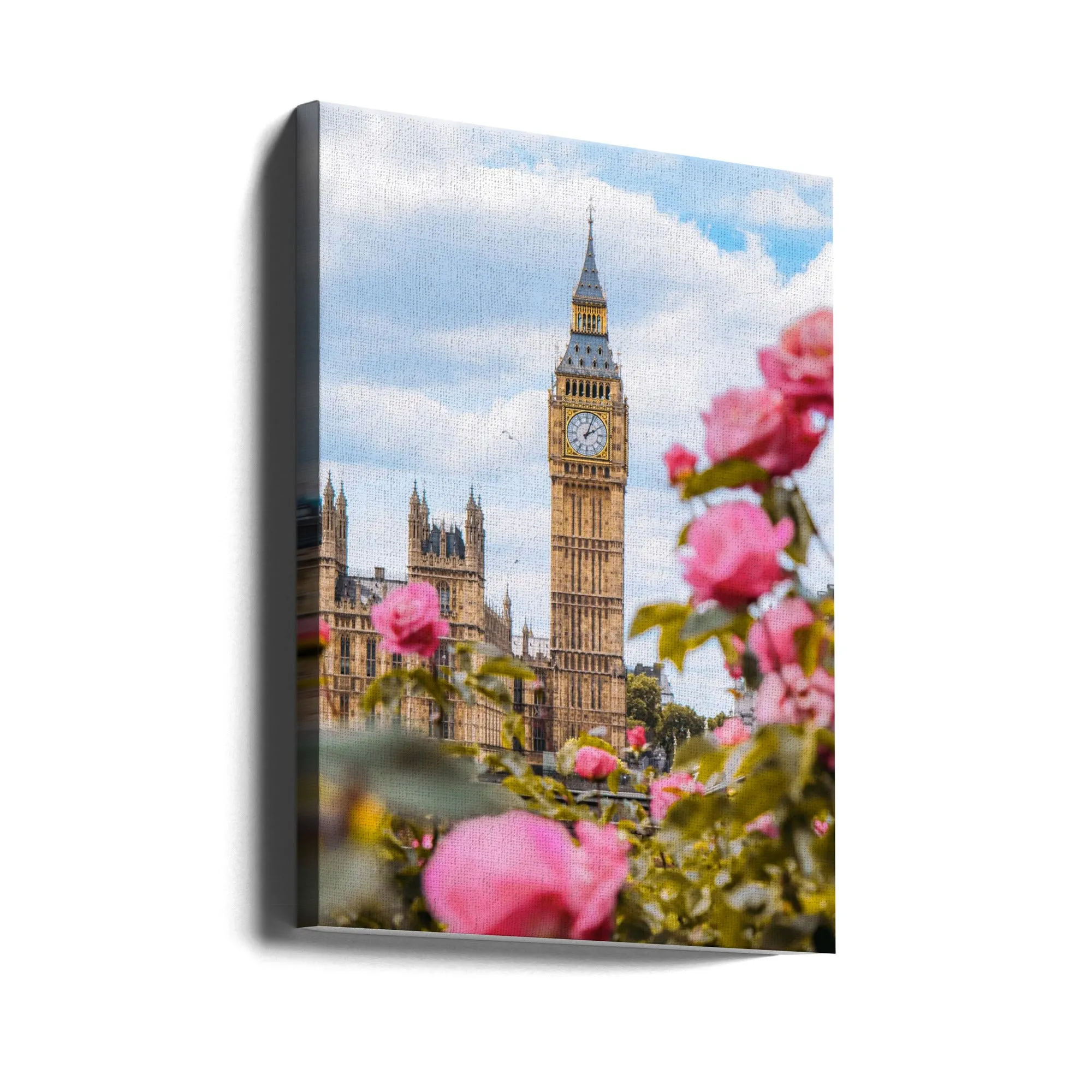 Big Old Friend - Stretched Canvas, Poster or Fine Art Print
