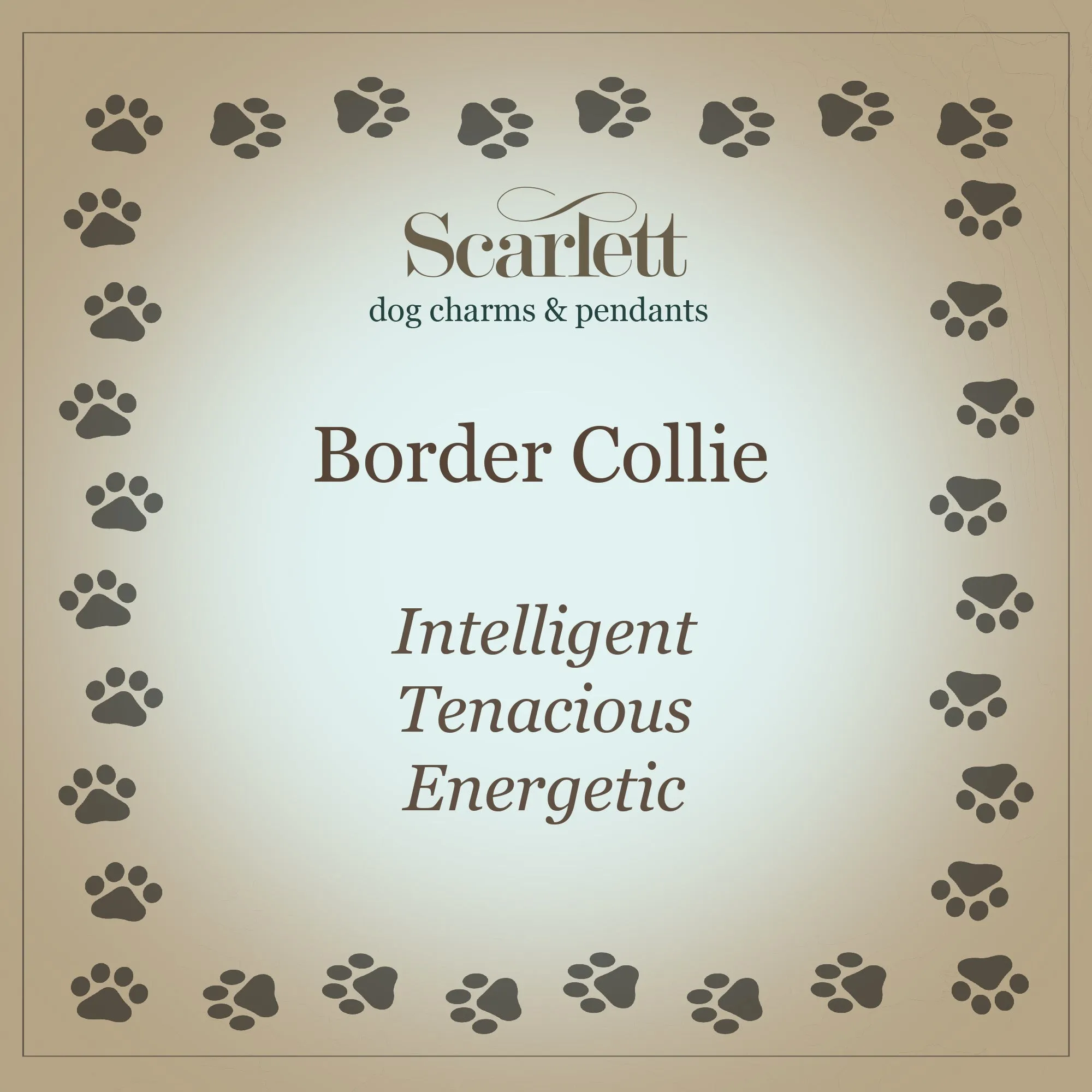 Border Collie Personalised Silver Dog Tag Necklace