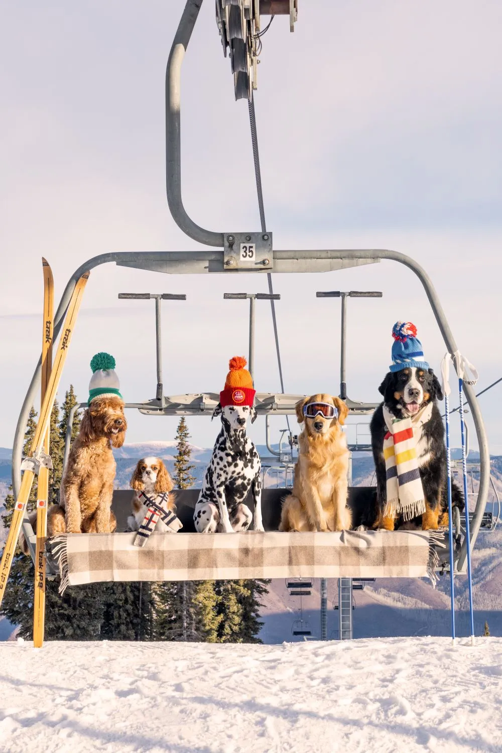 Chairlift Pups Vertical, Aspen