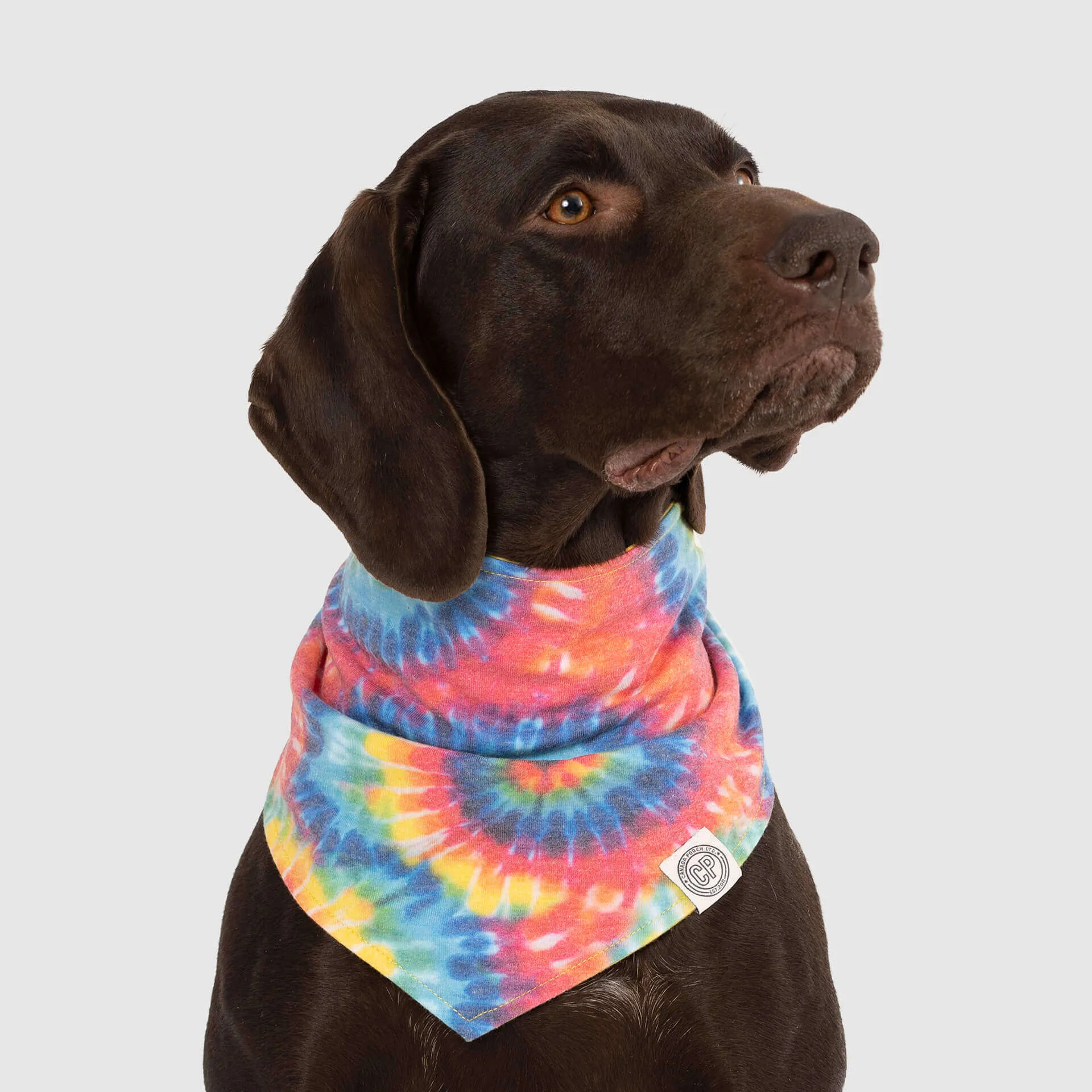 Follow Me Bandana