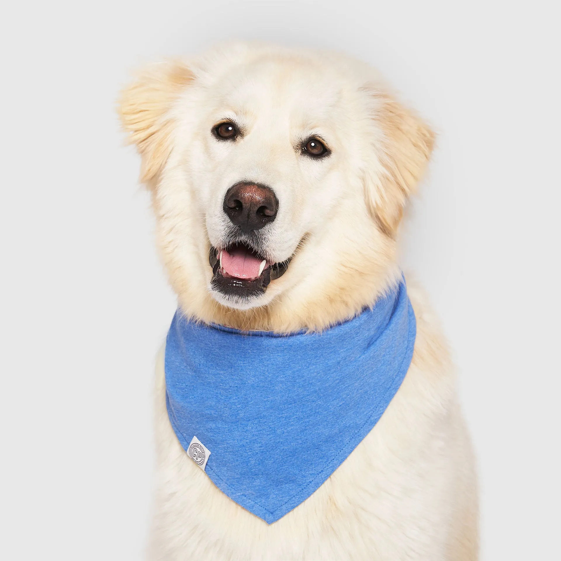 Follow Me Bandana