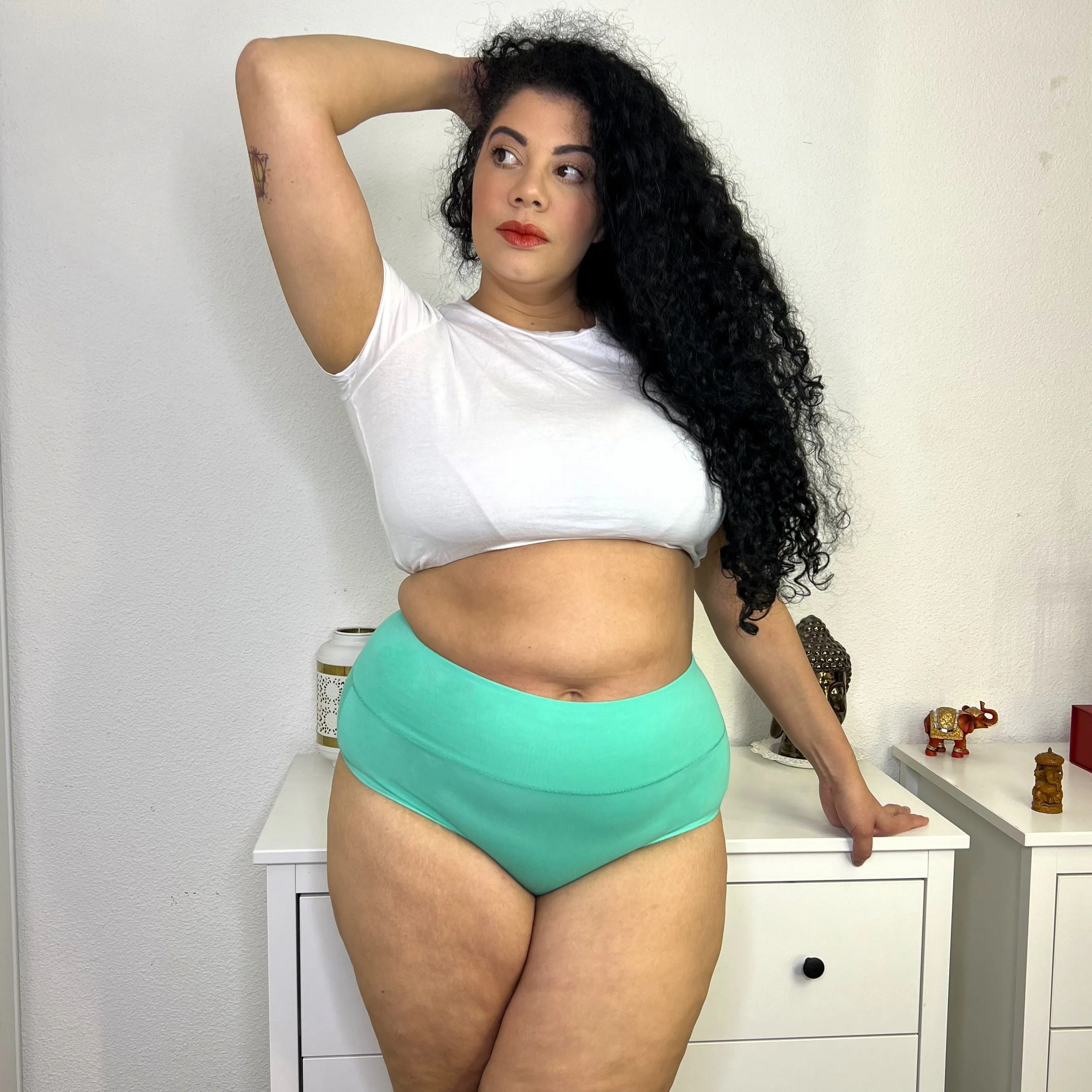 Full Brief Knickers - Special Edition Colours