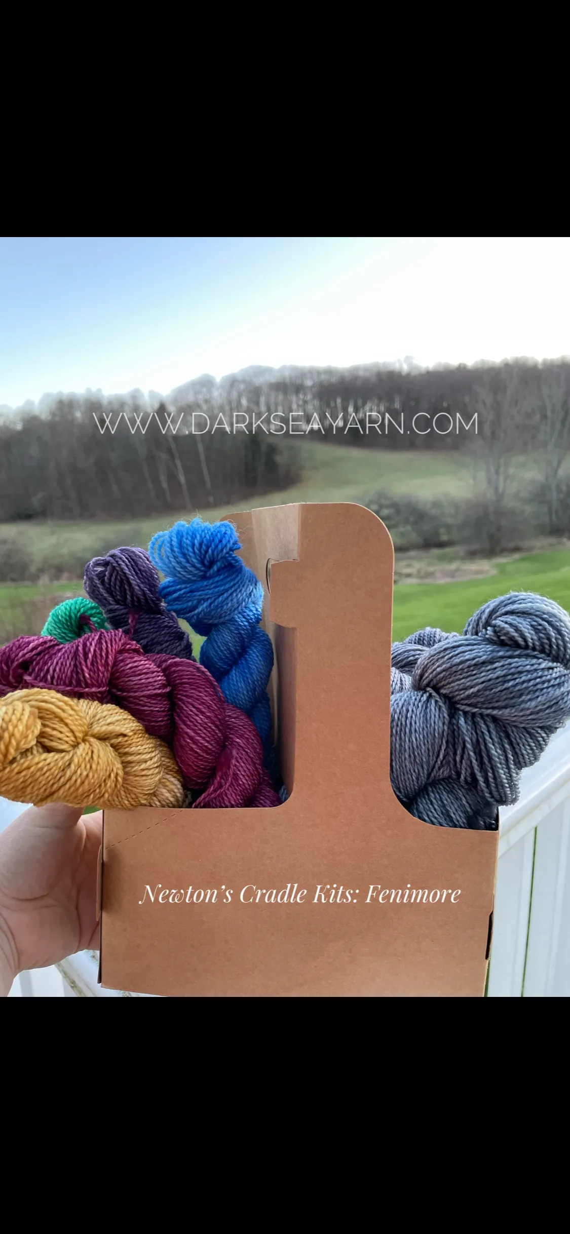 Newton's Cradle Kit - Small Batch Hand-dyed Yarn   Pattern (NY)