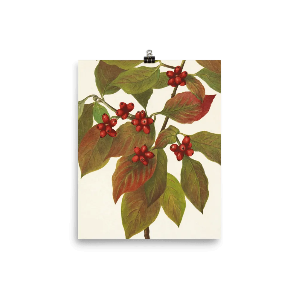 "Flowering Dogwood" Art Print