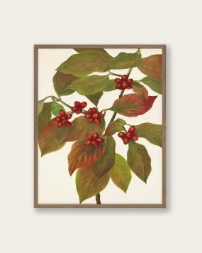 "Flowering Dogwood" Art Print