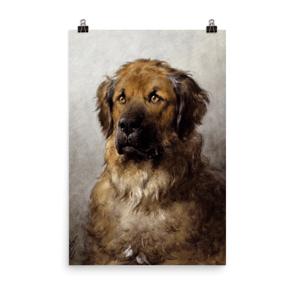 "Head of a Leonberger" Art Print