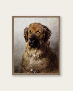 "Head of a Leonberger" Art Print