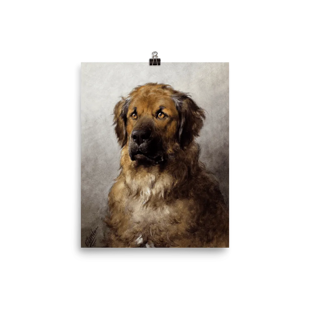 "Head of a Leonberger" Art Print