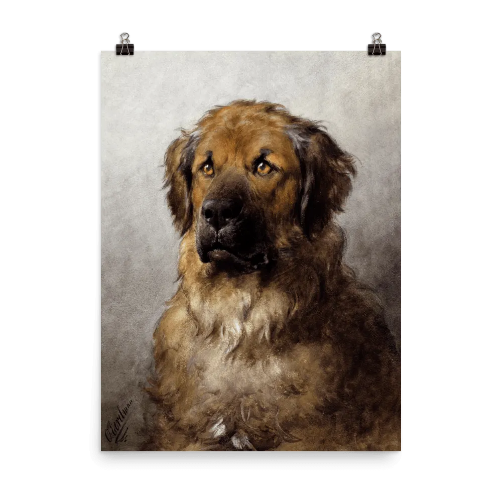 "Head of a Leonberger" Art Print