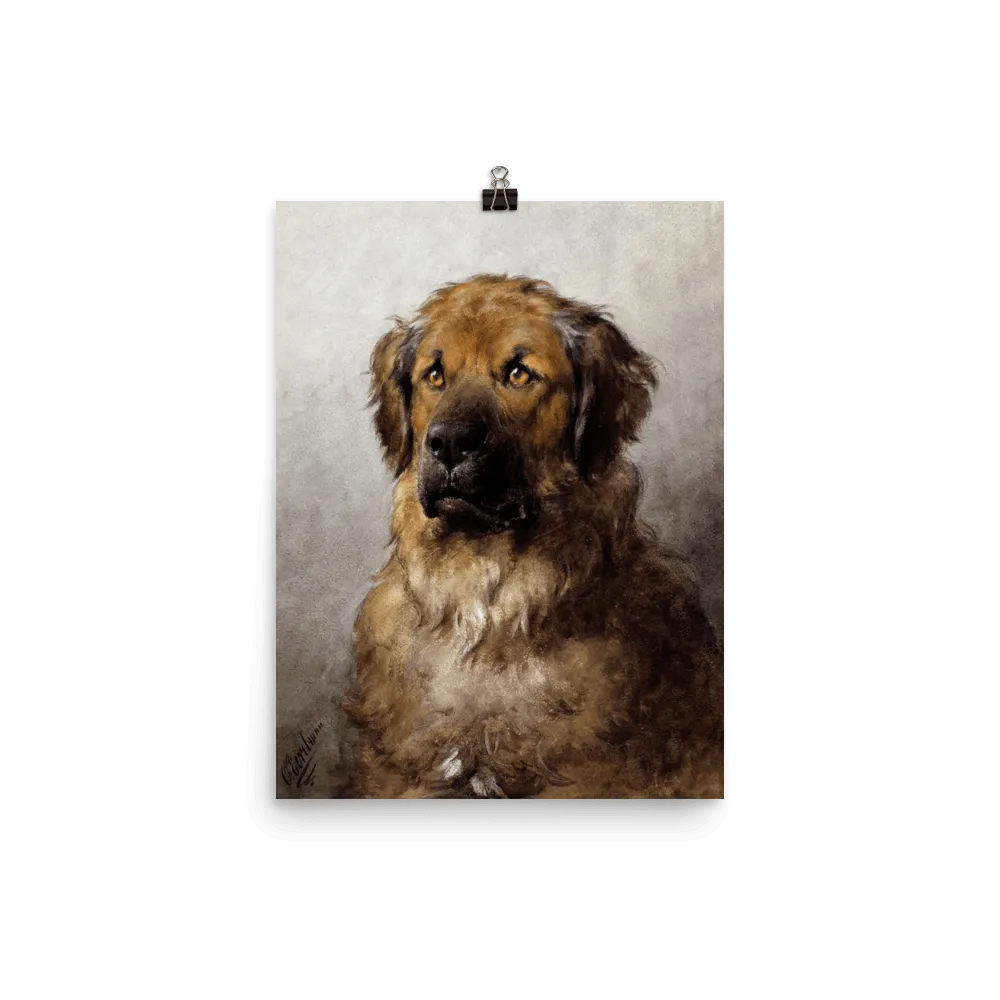 "Head of a Leonberger" Art Print