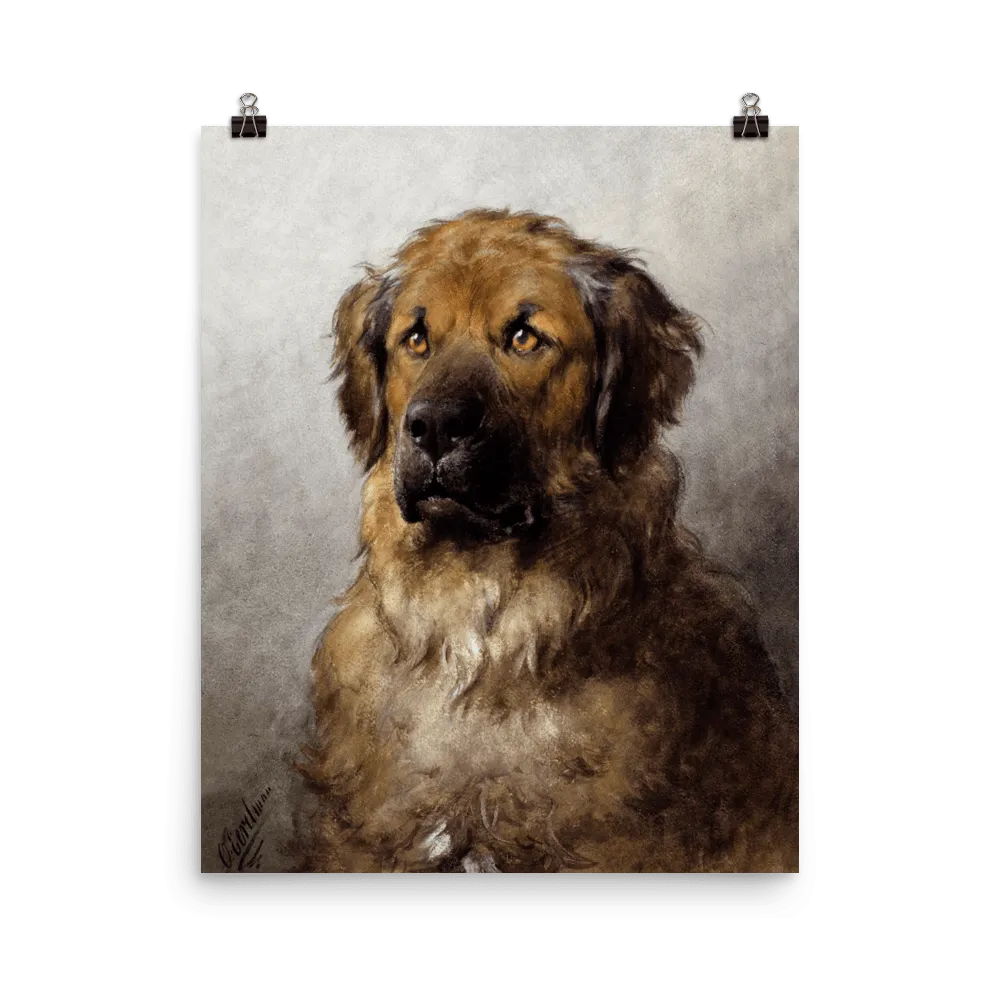 "Head of a Leonberger" Art Print
