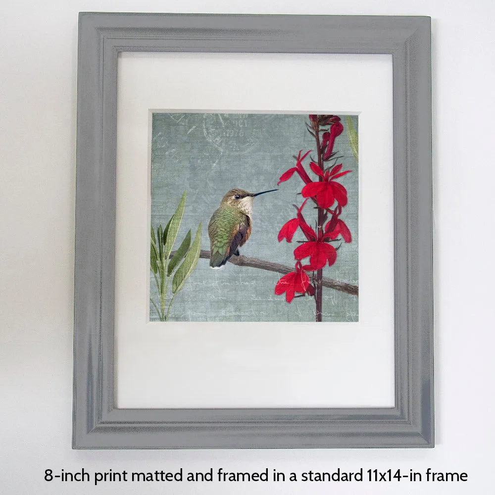 RUFOUS HUMMINGBIRD - Fine Art Print, Garden Birds Series